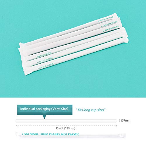 Iamgreener Biodegradable Plasticless Drinking Straws with Reusable