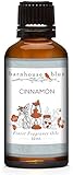 Barnhouse - Cinnamon - Premium Grade Fragrance Oil (30ml)