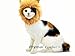 Prymal Lion King Cat Costume. This Pet Costume Turns Your Cat/Dog Into a Ferocious Lion King!