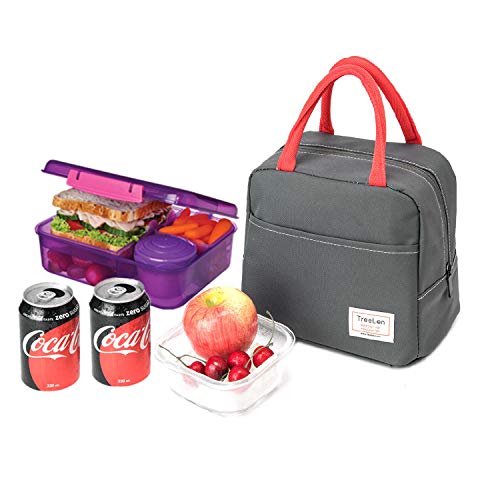 Tote Freezable Lunch Bag for Women, Lunch Box Insulated Lunch Container for Work, School and Picnic