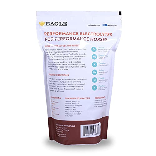 MagnaLyte Loose Salt and Electrolytes for Horses by Eagle Equine