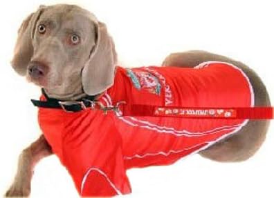 lfc dog coat