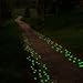 Qiyun 100 Man-made Green Glow in the Dark Pebbles Stone for Garden Walkway--Making Your Garden or Yard Looks Different from Your Neighbors' at night