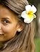 Healthcom 100 Pcs 2.4 Inch White Artificial Plumeria Rubra Hawaiian Flower Petals Hair Hat Wreath Floral Premium Hawaiian Foam Frangipani Flowers for DIY Home Beach Wedding Party Decoration