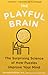The Playful Brain: The Surprising Science of How Puzzles Improve Your Mind