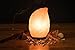 Natural Himalayan Salt Lamp on Solid Neem Wood Base | Romantic Leaf Shape | Dual Voltage (AC 230V/110V), UL Listed, 6' Cord & Dimmer Switch, a Great Gift, 6.2 lbs (Pink)