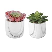 Flora Bunda Set of 2 Artificial Succulent in Marble Ceramic Pot 4" Planter Mid Century