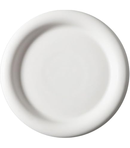 Amazon.com | chubby ceramic minimalist aesthetic tableware