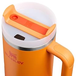 Stanley Quencher H2.0 Tumbler with Handle and Straw