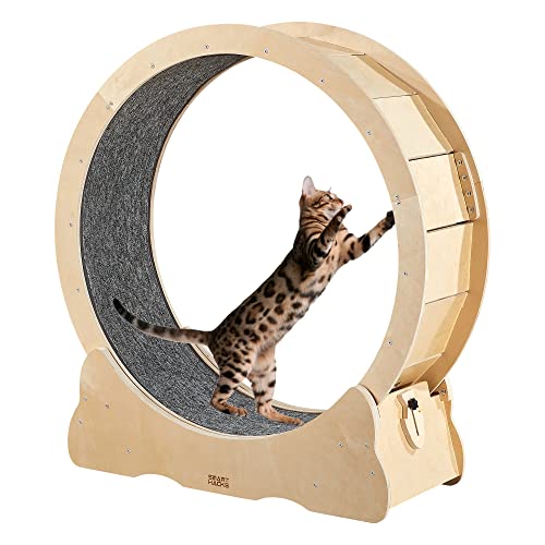 SMART HACKS Cat Wheel, Cat Exercise Wheel, Cat Wheel Exerciser for