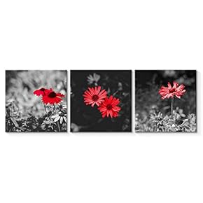 3 Piece Canvas Wall Art for Living Room Bedroom Home Artwork Flowers Paintings Ready to Hang - 12"x12"x3 Panels