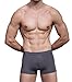 Hoerev Pack of 4 Mens Super Soft And Comfortable Fiber Briefs Trunks Underwear，2Blue2Black，L