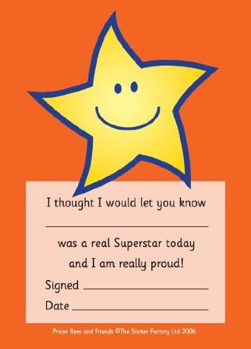 Superstar Reward Notepad from The Sticker Factory