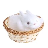 SCASTOE Hare Rabbit Figurine Collection Miniature Furry Animals Plush Children Toy