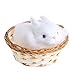 SCASTOE Hare Rabbit Figurine Collection Miniature Furry Animals Plush Children Toy