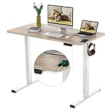 FLEXISPOT Standing Desk Quick Assembly Electric