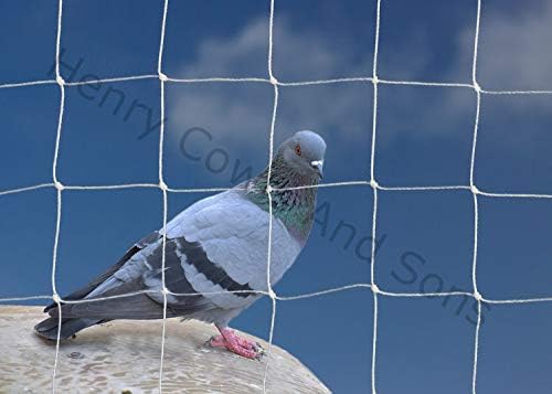 Bird Netting For the Garden 10m x 10m 50mm 2" Anti Pigeon Knotted Mesh Heavy Duty White Net Protection