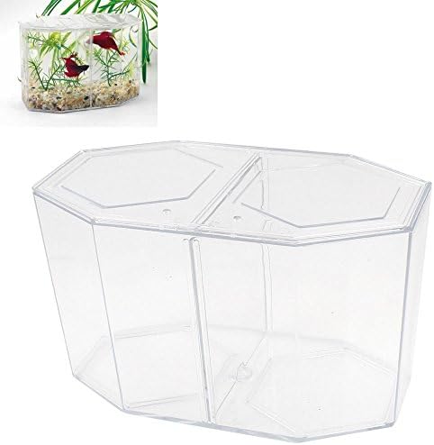 1 Dual Betta Hex Kit Tank Pet Aquatic Fishes Aquarium Habitat Office Home Decor