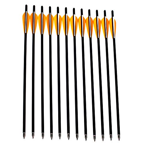 12 Pack Carbon Crossbow Bolts - 16/18/20/22 Inch Hunting Arrows With Moon Nocks & Removable Tips