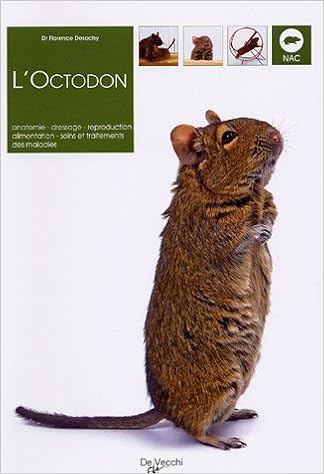 Amazon Fr L Octodon Anatomie Dressage Reproduction Alimentation Soins Et Traitements Des Maladies Desachy Florence Rocher Philippe Livres