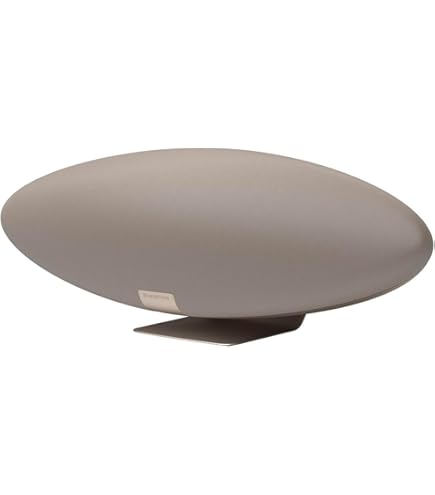 Amazon.com: Bowers & Wilkins Zeppelin Pro Edition Wireless Speaker