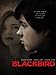 Blackbird