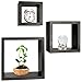 Greenco 3 Cube Floating Shelf, Easy-to-Assemble Floating Wall Mount Shelves for Bedrooms and Living Rooms, Espresso Finish