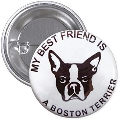 My Best Friend Is a Boston Terrier 1.5" Pin Back Button