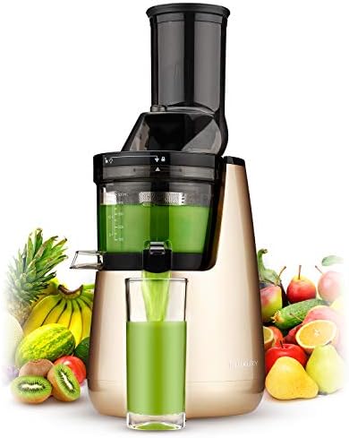 Masticating Extractor Slow Juicer, Cold Press Juicer,Cold Press Juicer Machine with 3" Big Mouth,Easy to Clean and Use for All Fruits and Vegetables (Champagne)