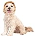 Rubie's Political Billionaire Wig for Pets, Medium/Large