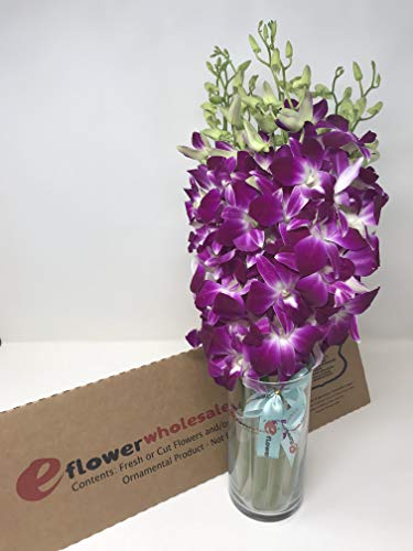 eflowerwholesale - Mother's Day Purple Orchid with Vase