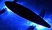 GlowCity UnderGlow Light Up LED Lights For Longboards,Skateboards and Scooters (Blue)