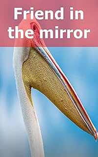 Livro Friend in the mirror