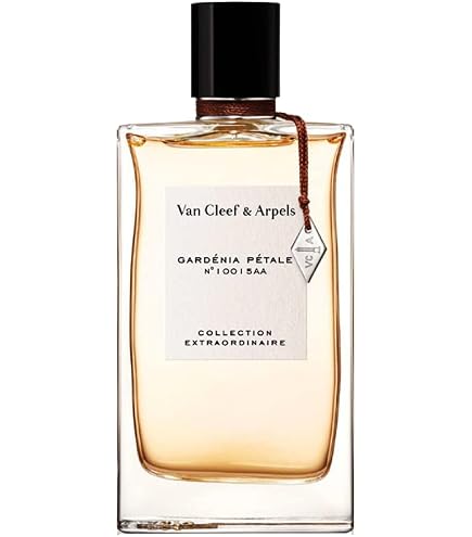 Van Cleef & Arpels ボワディリス 75㎖ Amazon.com : Van Cleef & Arpels Bois D'iris Women's Edp Spray, 2.5