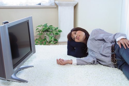 聞こえる ゴロネマクラ くつろぎ ネイビー FP-244N 聞こえる ゴロネマクラ くつろぎ ネイビー FP-244N