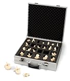 3B Scientific Suitcase Set of 24 Vertebrae