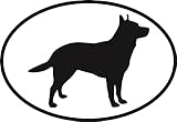 Australian Cattle Dog Euro Oval Bumper Sticker