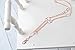 Elizabeth Oblong Link Double Chain Womens Fashion Lanyard Necklace (Rose Gold)