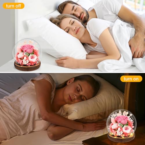 Comius Sharp Preserved Natural Eternal Rose, Eternal Rose with LED Lights, Bouquet Flowers in Glass Dome, Christmas Gifts Women Mom, Valentine's Day Mother's Day Gift (B)