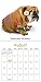 Zelda Wisdom 2019 Wall Calendar