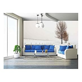 Row of Large and Bare Trees. It is Very Early in The Morning and It Freezes Very Much in The Netherlands - Removable Wall Mural | Self-Adhesive Large Wallpaper - 66x96 inches