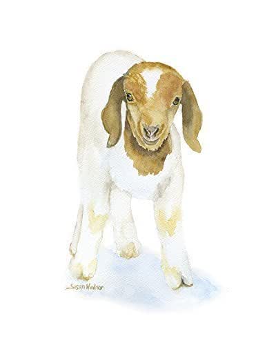 Amazon.com: Goat Watercolor Painting Giclee Print Reproduction : Handmade Products