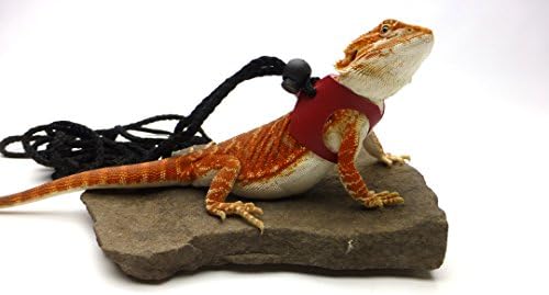 Ogle Lizard Leash, Limited Edition Red (medium size)