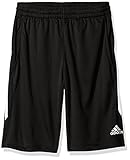 adidas Boys' Big Boys' Core Short, Black/White, Large/14-16