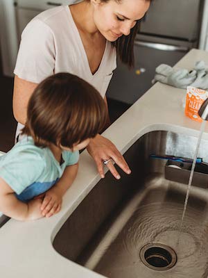 2 Lemi+Shine+Natural+Disposal+Extracts