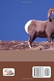 Image de Numerology For Aries: the forecasts (Sun Sign Numerology) (Volume 1)