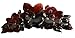 Parcelona French Clementines Large Narrow Celluloid Tortoise Shell Jaw Hair Claw Clips for Women - 5.5 Inch