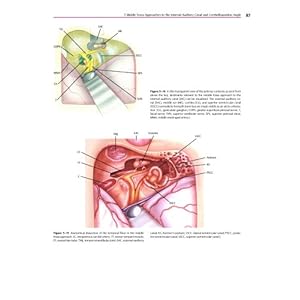 Atlas of Skull Base Surgery and Neurotology