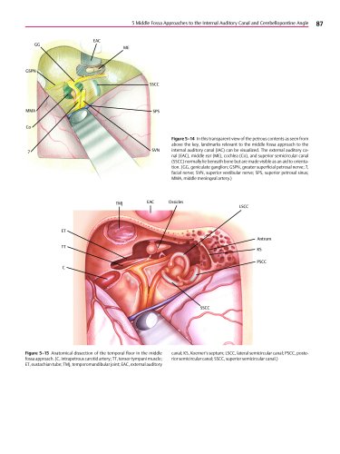 Atlas of Skull Base Surgery and Neurotology - //medicalbooks.filipinodoctors.org