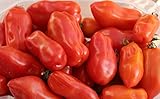 40+ San Marzano Tomato Seeds- Italian Heirloom Variety- Grown in 2019
